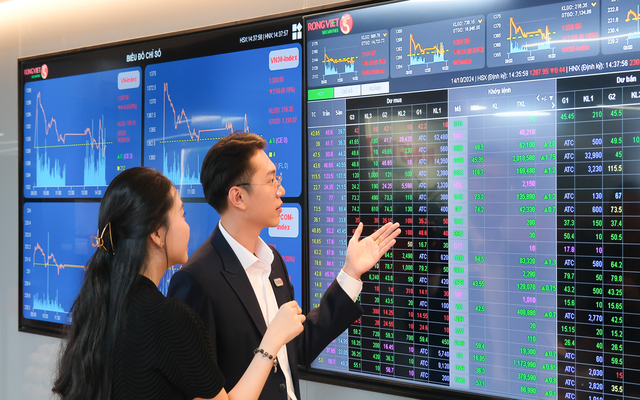 Rồng Việt công bố KQKD Quý 2/2025: Ổn định nền tảng, vững vàng tương lai