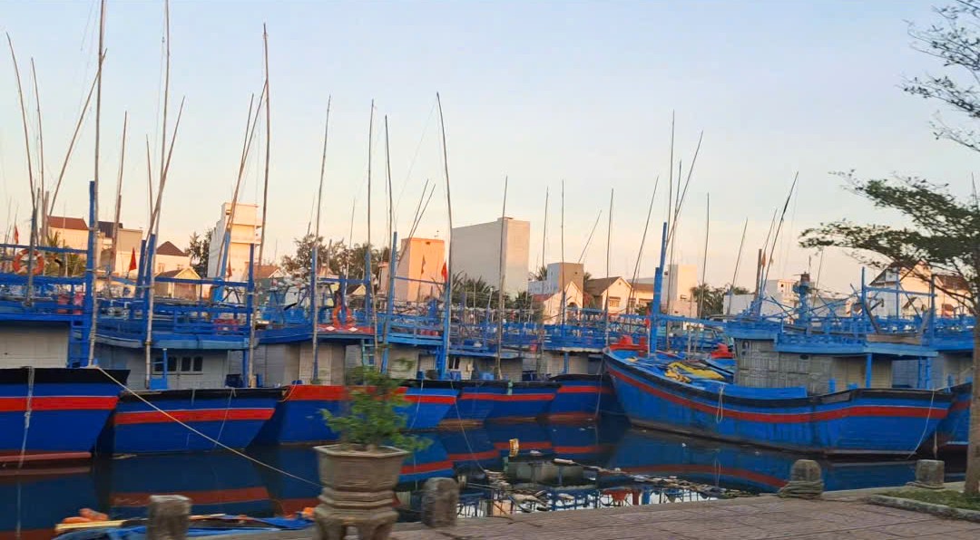 Xem xét hỗ trợ vốn vay đóng mới tàu, thuyền