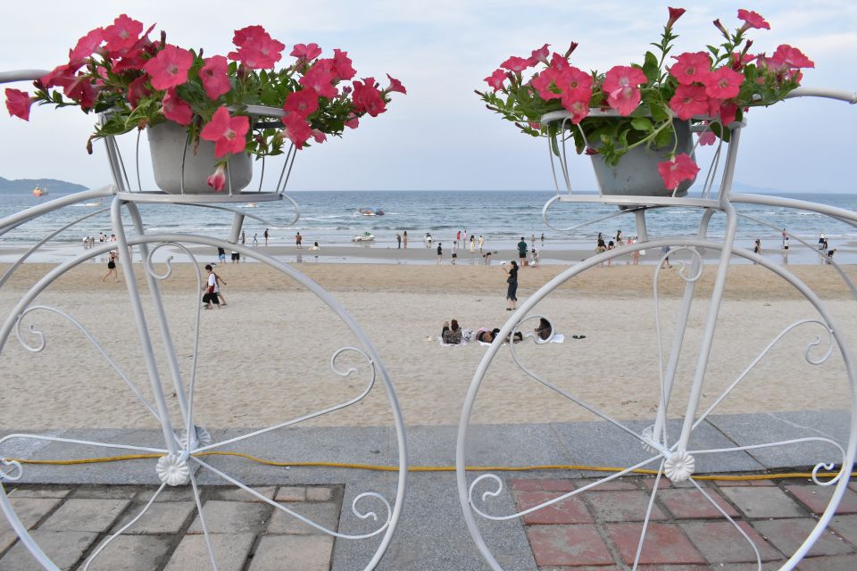 Cộng hưởng hạ tầng – dịch vụ: Động lực tăng trưởng mới cho Đà Nẵng