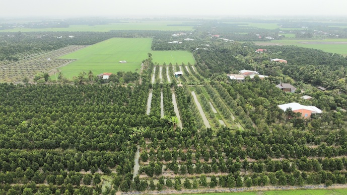 Định giá đất: tìm điểm cân bằng giữa quản lý và tự do thị trường