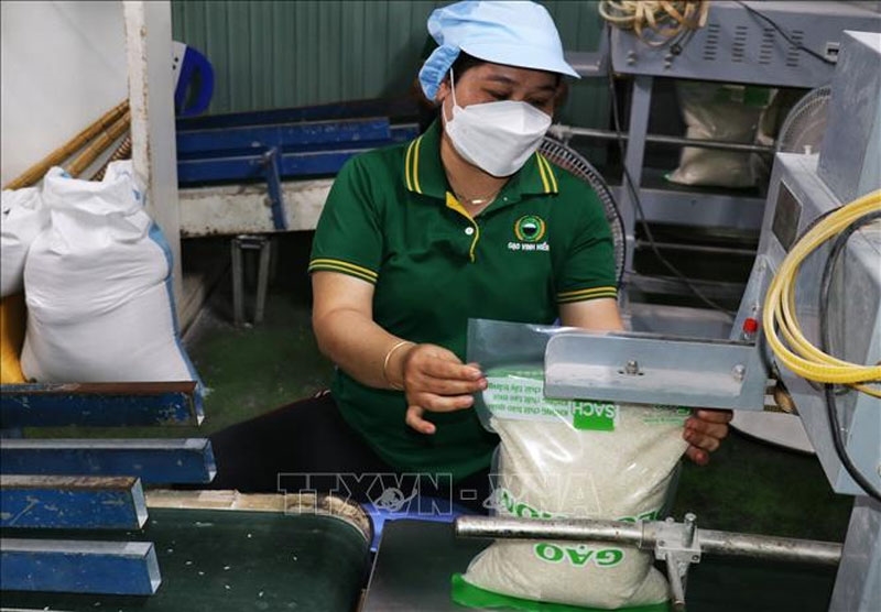 Bản tin nông sản hôm nay (28-8): Giá cà phê tăng mạnh