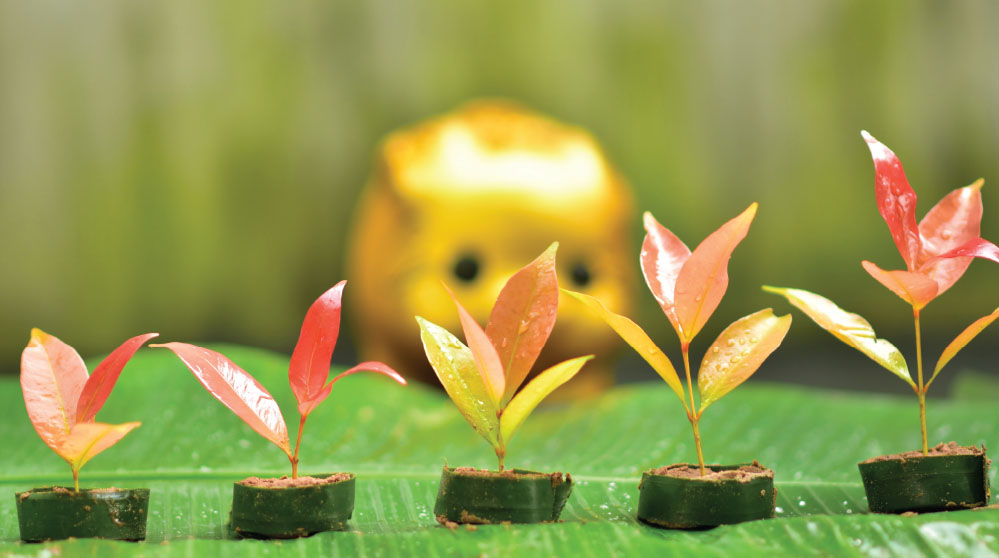 Chuẩn hóa tín dụng xanh Việt Nam – đột phá từ Quyết định 21