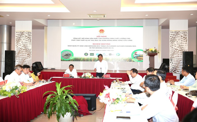 Đề án 1 triệu ha lúa chất lượng cao: Cuộc cách mạng nông nghiệp cho ĐBSCL