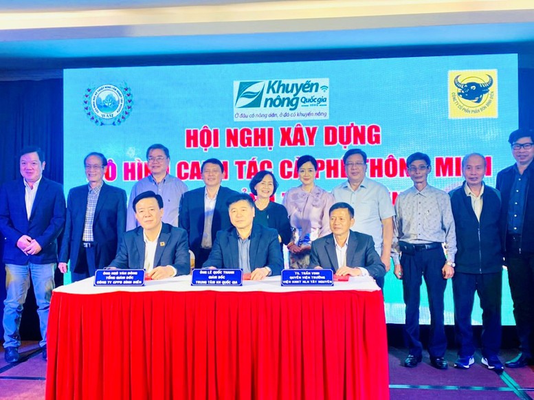 Canh tác cà phê thông minh: Định hướng phát triển bền vững trong bối cảnh biến đổi khí hậu