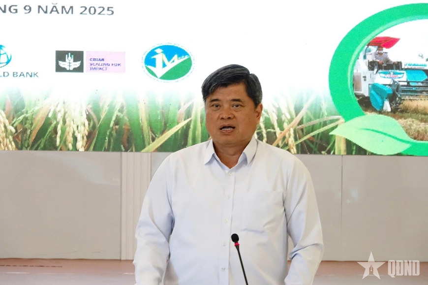 Đồng bằng sông Cửu Long: Tổng kết mô hình thí điểm lúa chất lượng cao