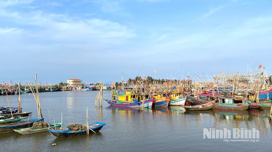 Ninh Bình quyết liệt chống khai thác hải sản bất hợp pháp