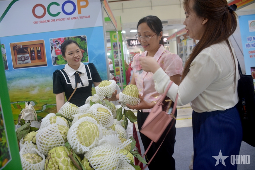 Mang đặc sản các vùng miền phục vụ người tiêu dùng Thủ đô