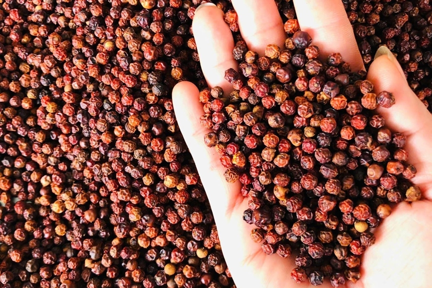 Bản tin nông sản hôm nay (19-10): Giá hồ tiêu giảm