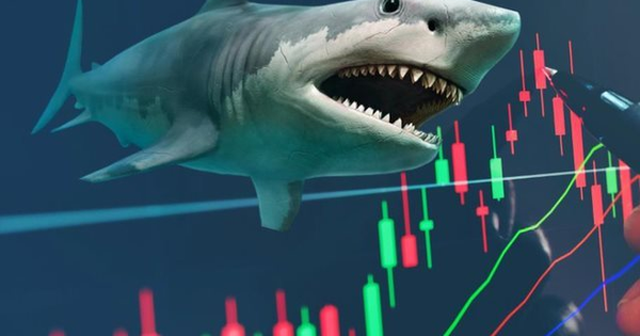 Soi loạt cổ phiếu có thể lọt “tầm ngắm” của các cá mập tổng quy mô 15.000 tỷ ngay trong tháng 10