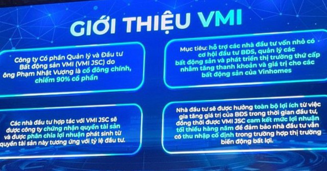 Tỷ phú Phạm Nhật Vượng sáp nhập Bất động sản Hưng Long vào VinSpeed, chấm dứt hoạt động công ty “mua chung” bất động sản