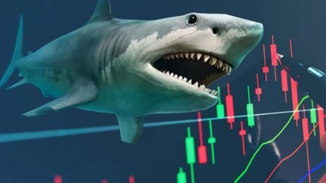 Cổ phiếu FPT và một mã ngân hàng có thể được loạt cá mập tổng quy mô 14.000 tỷ “săn lùng” trong kỳ cơ cấu quý 4