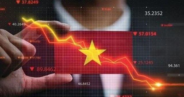 IPO tại Việt Nam: Từ hành trình chiến lược đến niêm yết hiệu quả