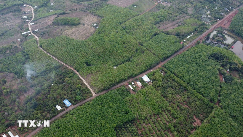 Đồng Nai duyệt phương án bồi thường dự án cầu Mã Đà