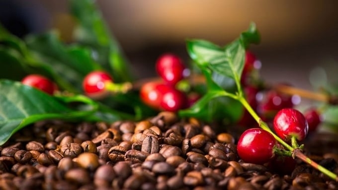 gia-ca-phe-hom-nay-18-1-1-090243_83-092252