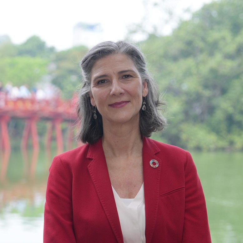 Tầm nhìn dài hạn, vai trò lãnh đạo mạnh mẽ mang lại thành tựu cho Việt Nam: Trưởng Đại diện UNDP