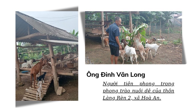 Đánh thức tiềm năng đồi rừng – Kinh tế vùng cao khởi sắc