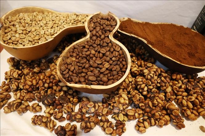 Bản tin nông sản hôm nay (14-12): Giá cà phê giảm mạnh
