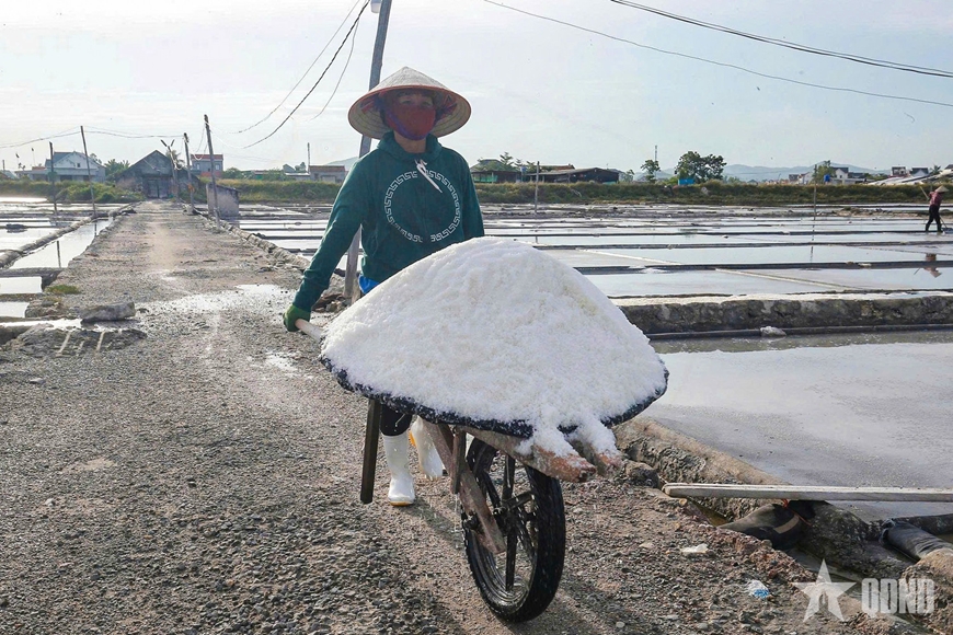 Diêm dân Nghệ An nâng tầm hạt muối làng Quỳnh