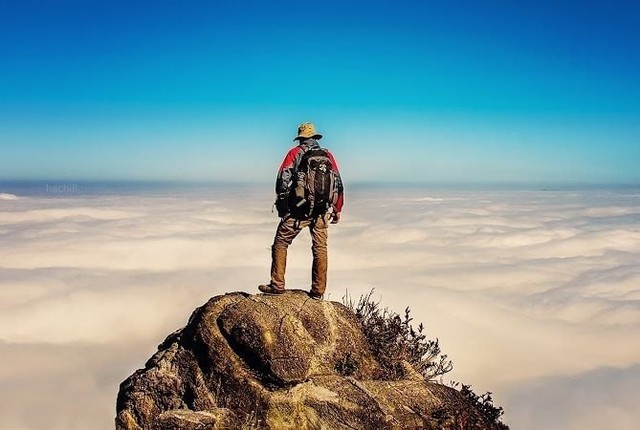 VN-Index giảm mạnh nhất châu Á, một “ông lớn” ngược dòng phá đỉnh lịch sử