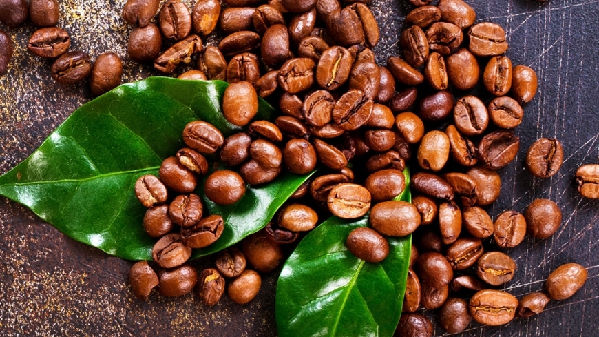 Bản tin nông sản hôm nay (29-12): Giá cà phê, hồ tiêu, lúa gạo đi ngang