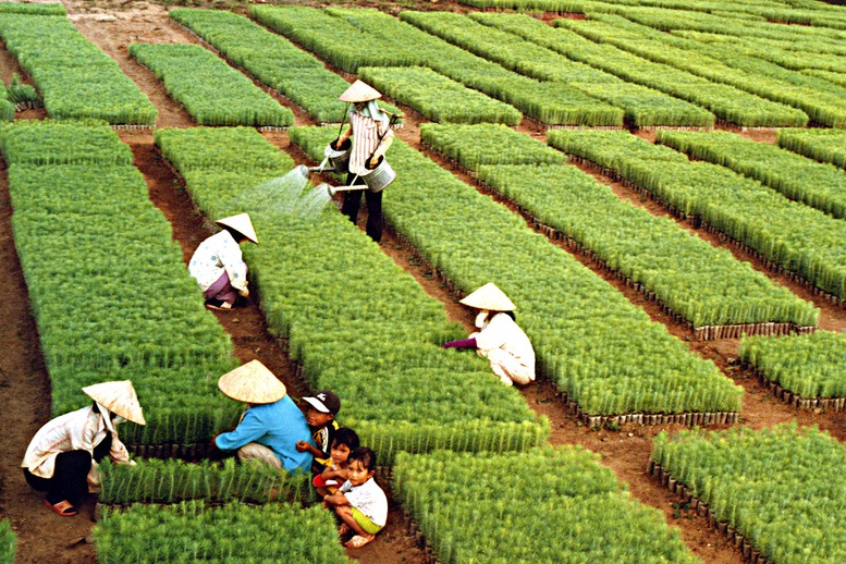 Ngành Nông nghiệp và Môi trường đặt mục tiêu xuất khẩu gần 74 tỷ USD năm 2026