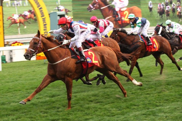 Thị phần môi giới của SSI trên HoSE lên cao nhất 22 quý