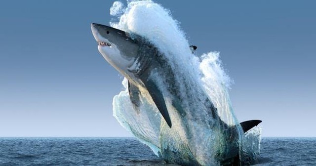 Giám đốc Đầu tư VinaCapital hé lộ hai nhóm cổ phiếu từng bị “bỏ quên” năm 2025 sẽ có “đất diễn” trong năm nay