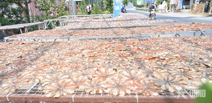 Đồng Tháp: Cá khô sẵn sàng cho thị trường Tết