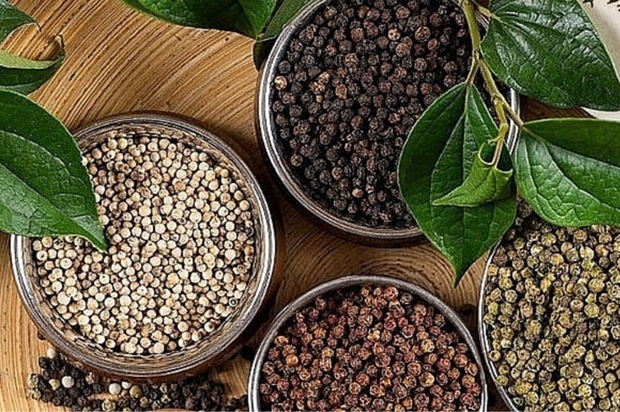 Bản tin nông sản hôm nay (30-3): Giá hồ tiêu tăng nhẹ