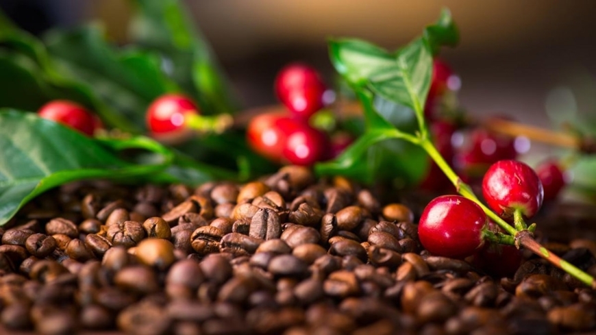 Bản tin nông sản hôm nay (31-3): Giá hồ tiêu bật tăng