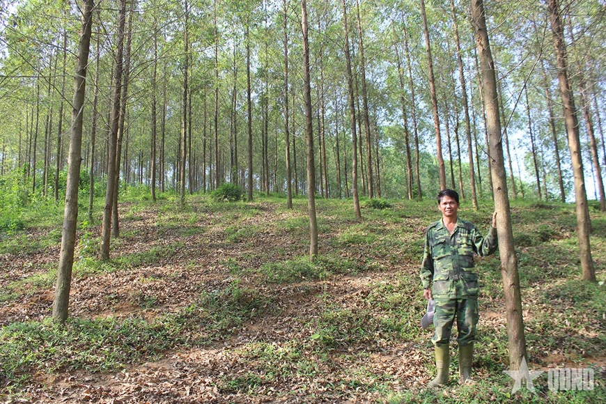 6 tỉnh miền Bắc Việt Nam sẽ nhận gần 72 triệu USD cho nỗ lực bảo vệ rừng