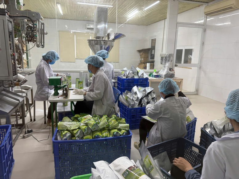 Xuất khẩu nông lâm thủy sản: Nhiều ngành hàng tăng tốc, mở rộng thị phần