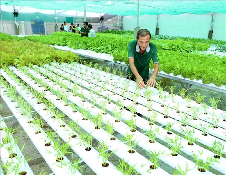 ‘Hàng rào xanh’ của EU: Cần sự thay đổi tư duy của doanh nghiệp