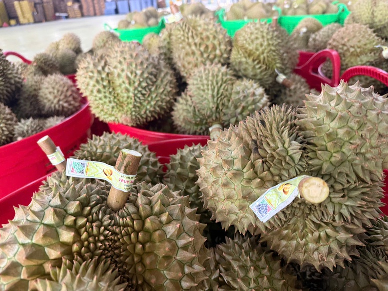 Xuất khẩu lô sầu riêng đầu tiên nhờ thông quan Luồng xanh