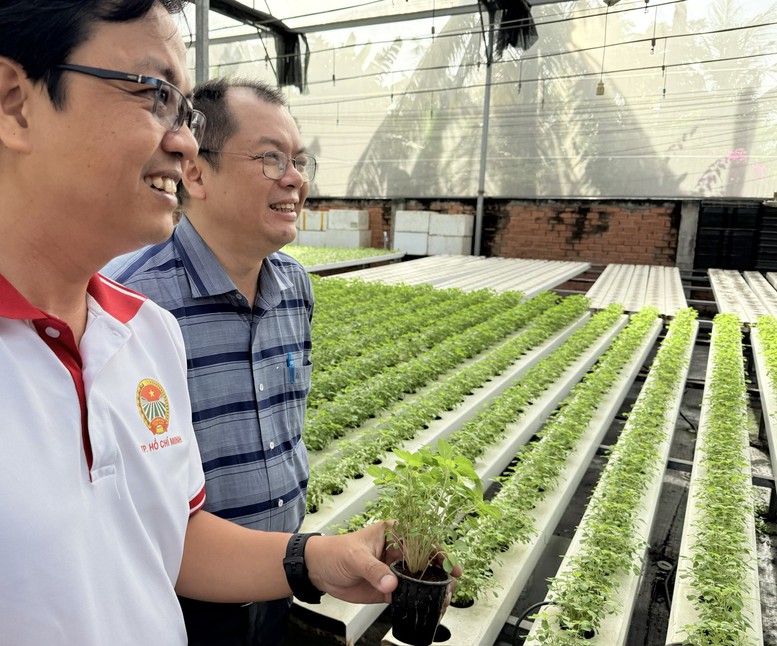 “Trụ đỡ” nông nghiệp trước áp lực giá: Cần chuyển mạnh từ sản lượng sang giá trị