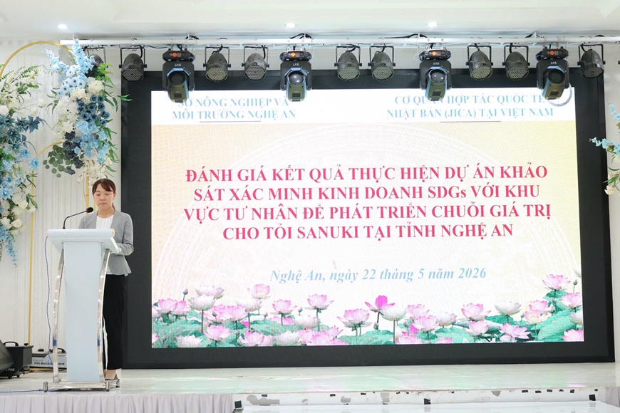 Đánh giá dự án phát triển chuỗi giá trị tỏi Sanuki tại Nghệ An