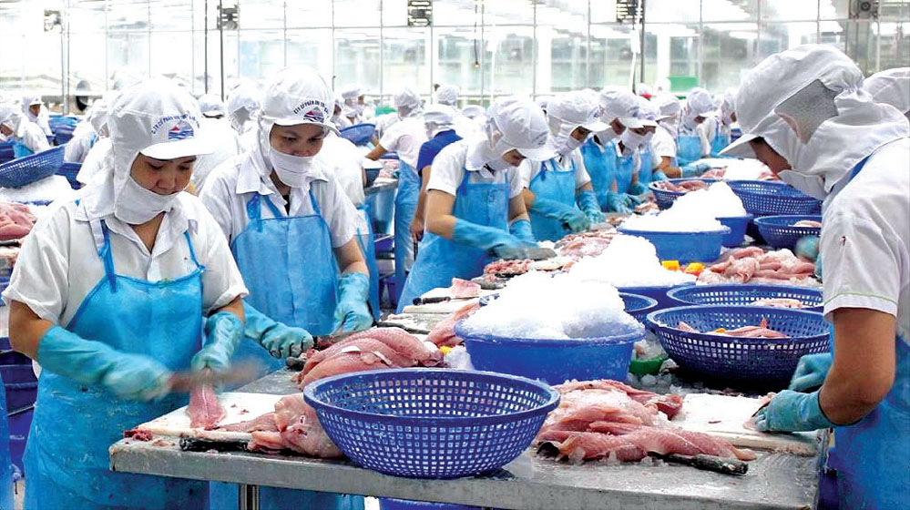 Những cổ phiếu cổ đông cô đặc