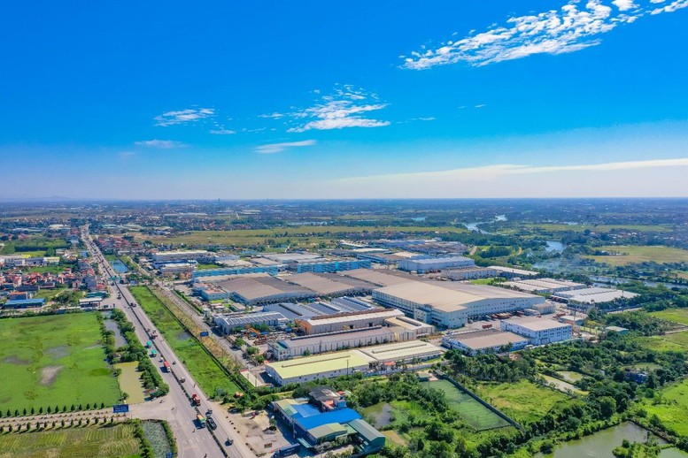 ROX Group: Khẳng định vị thế với chiến lược lấy khách hàng làm trung tâm