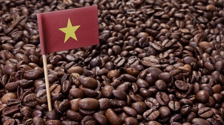 Bản tin nông sản hôm nay (7-6): Giá cà phê tiếp tục giảm
