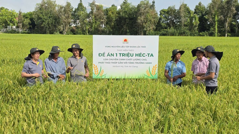 Bài 1: Người trồng lúa đã dám làm khác