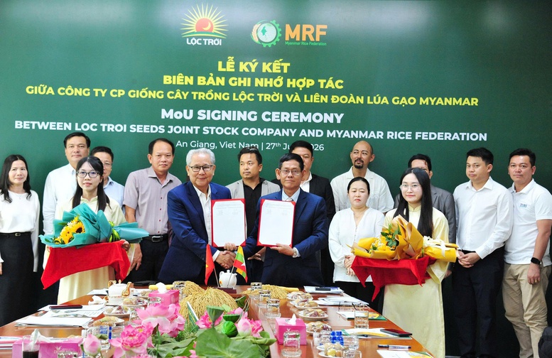 Lộc Trời đưa giống lúa Việt Nam sang Myanmar, mở rộng chuỗi giá trị lúa gạo khu vực