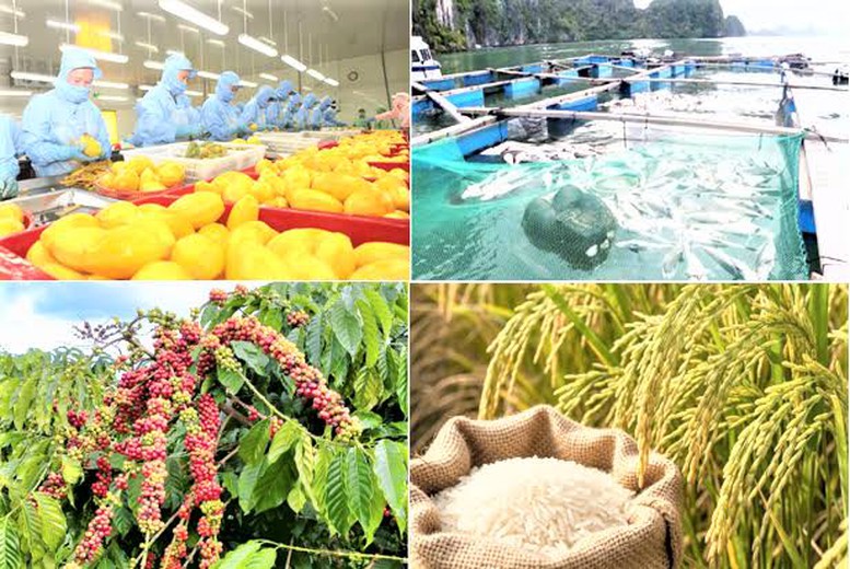 Xuất khẩu nông, lâm, thủy sản tăng hơn 10% so với cùng kỳ