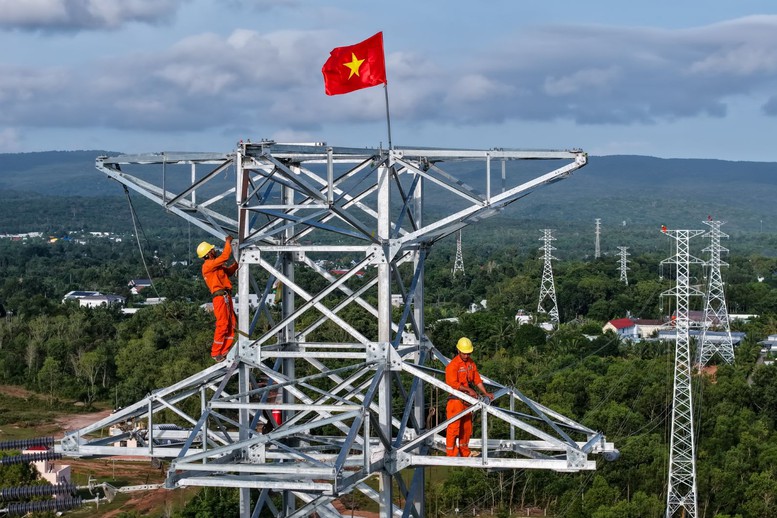 Điện lực miền Nam: Vượt khó để “về đích” 3 công trình trọng điểm phục vụ APEC 2027
