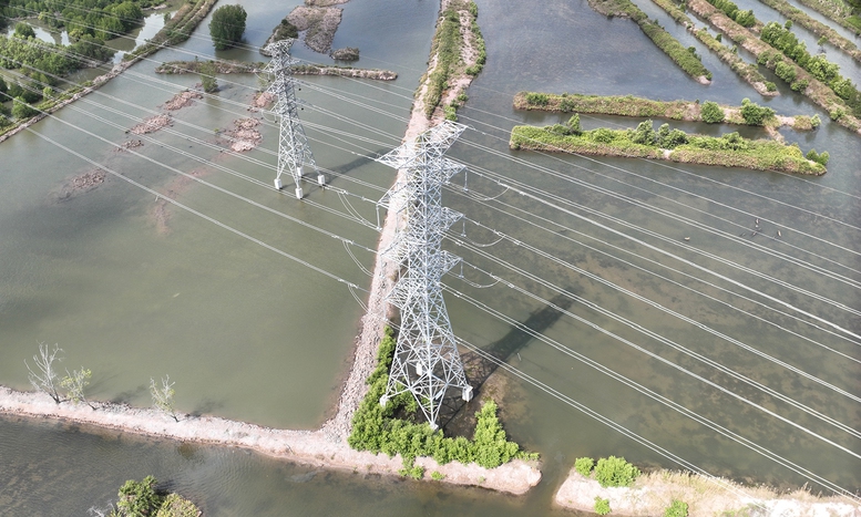 Hoàn thành dự án TBA 220kV Năm Căn và đường dây 220kV Năm Căn – Cà Mau 2