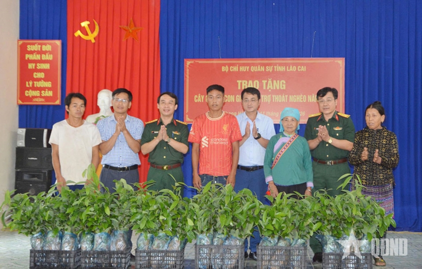 Bộ CHQS tỉnh Lào Cai tặng cây, con giống hỗ trợ người dân phát triển kinh tế