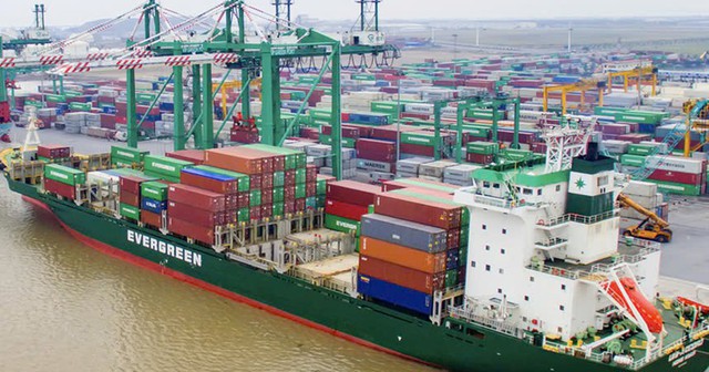 Viconship muốn cho công ty con vay 120 tỷ đồng