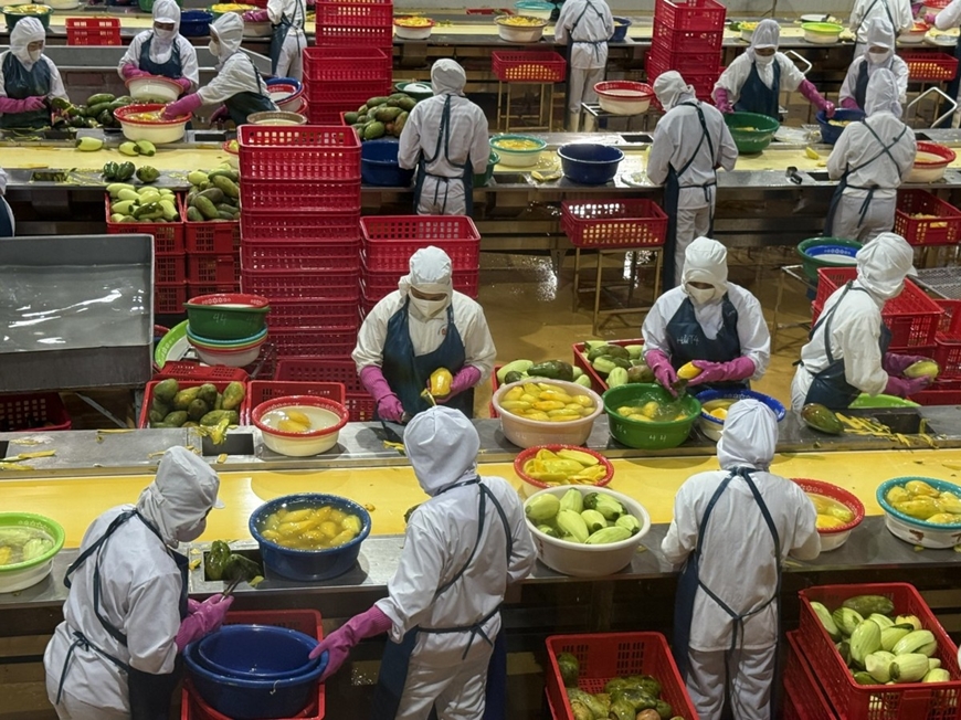 Nông, lâm, thủy sản duy trì đà tăng trưởng tích cực
